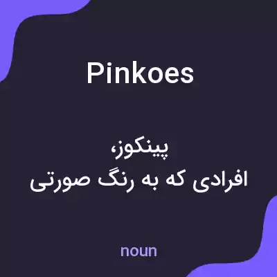 معنی pinkoes به فارسی