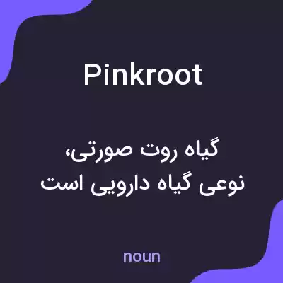 معنی pinkroot به فارسی