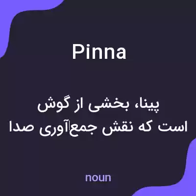 معنی pinna به فارسی معنی pinna به فارسی
