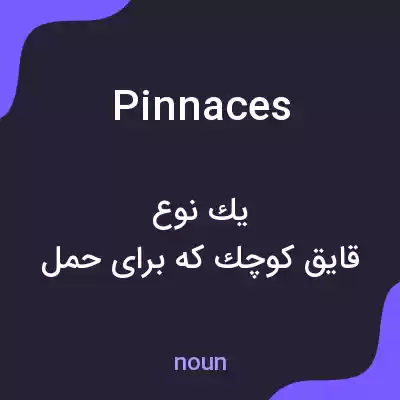 معنی pinnaces به فارسی معنی pinnaces به فارسی