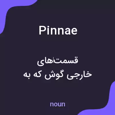 معنی pinnae به فارسی