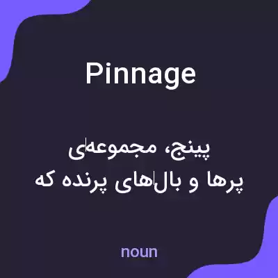 معنی pinnage به فارسی معنی pinnage به فارسی