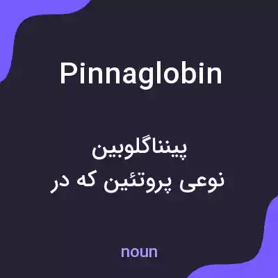 معنی pinnaglobin به فارسی معنی pinnaglobin به فارسی