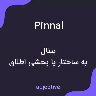 معنی pinnal به فارسی معنی pinnal به فارسی