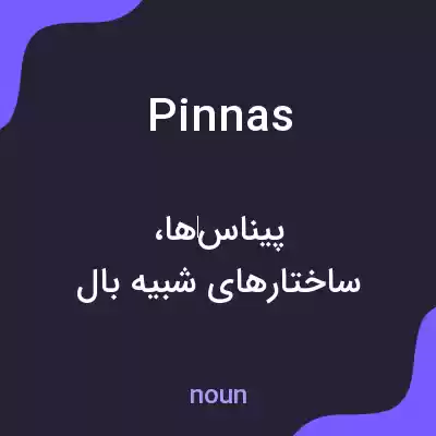 معنی pinnas به فارسی معنی pinnas به فارسی