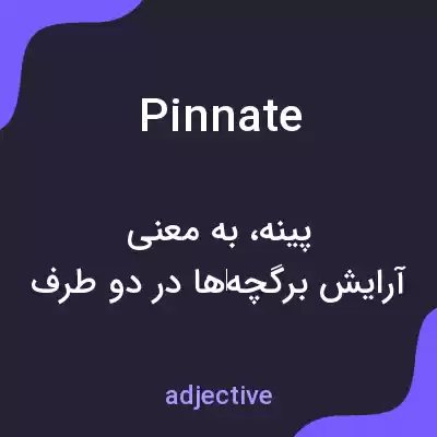 معنی pinnate به فارسی معنی pinnate به فارسی