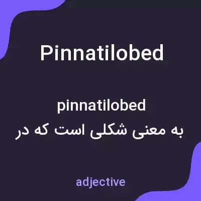 معنی pinnatilobed به فارسی معنی pinnatilobed به فارسی
