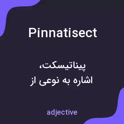 معنی pinnatisect به فارسی معنی pinnatisect به فارسی