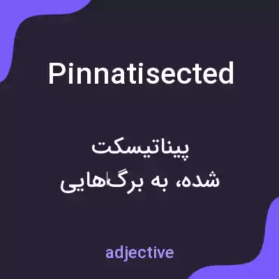 معنی pinnatisected به فارسی معنی pinnatisected به فارسی