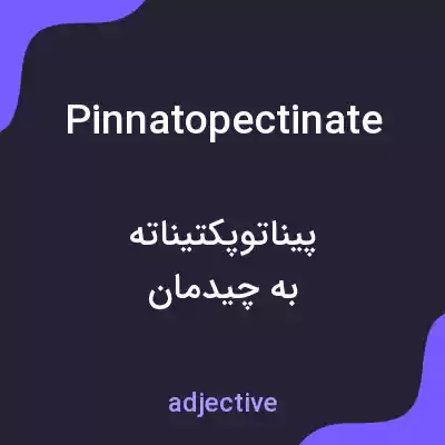 معنی pinnatopectinate به فارسی معنی pinnatopectinate به فارسی