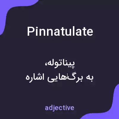 معنی pinnatulate به فارسی معنی pinnatulate به فارسی