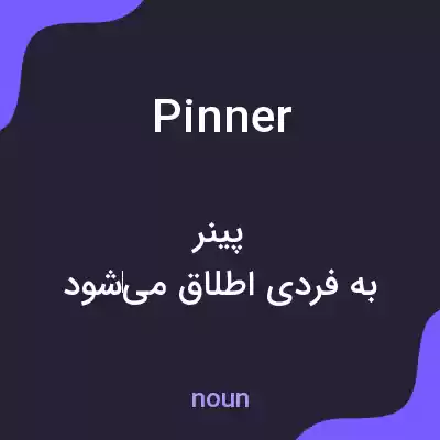 معنی pinner به فارسی معنی pinner به فارسی