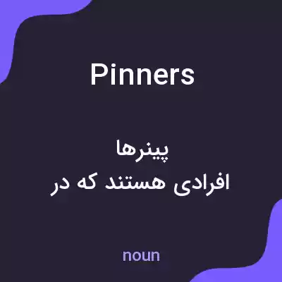 معنی pinners به فارسی معنی pinners به فارسی