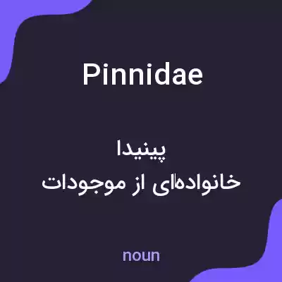معنی pinnidae به فارسی معنی pinnidae به فارسی