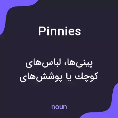 معنی pinnies به فارسی