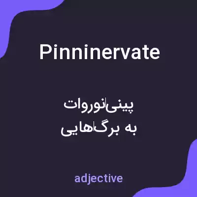 معنی pinninervate به فارسی معنی pinninervate به فارسی