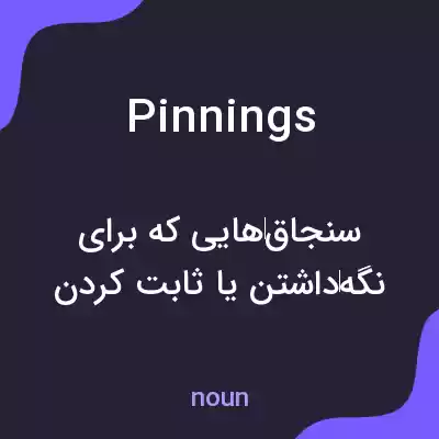 معنی pinnings به فارسی معنی pinnings به فارسی