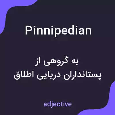 معنی pinnipedian به فارسی معنی pinnipedian به فارسی