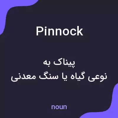 معنی pinnock به فارسی معنی pinnock به فارسی