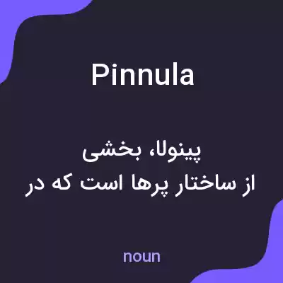 معنی pinnula به فارسی معنی pinnula به فارسی