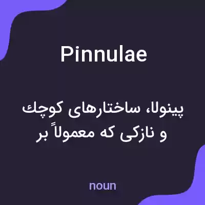 معنی pinnulae به فارسی معنی pinnulae به فارسی