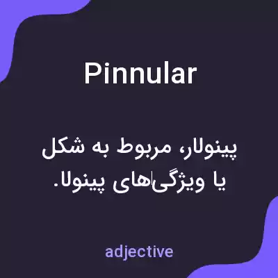 معنی pinnular به فارسی معنی pinnular به فارسی