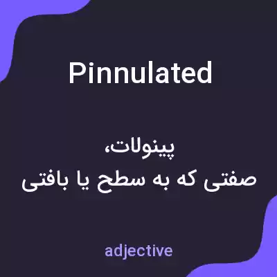 معنی pinnulated به فارسی معنی pinnulated به فارسی