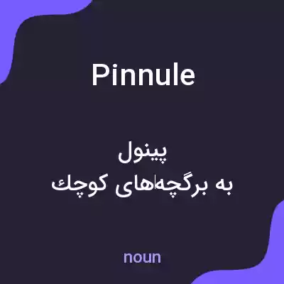 معنی pinnule به فارسی معنی pinnule به فارسی
