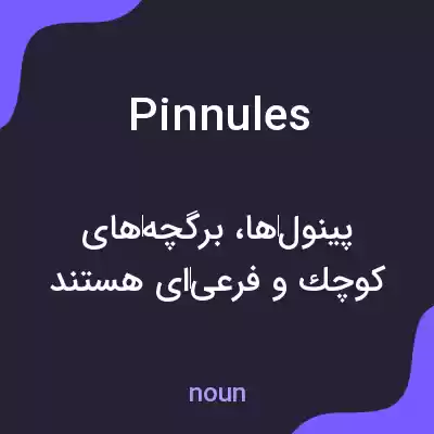 معنی pinnules به فارسی معنی pinnules به فارسی