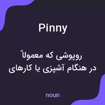 معنی pinny به فارسی معنی pinny به فارسی