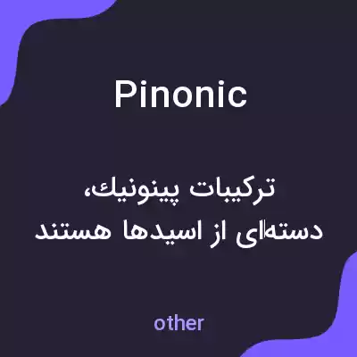 معنی pinonic به فارسی معنی pinonic به فارسی