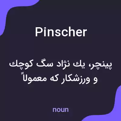 معنی pinscher به فارسی معنی pinscher به فارسی