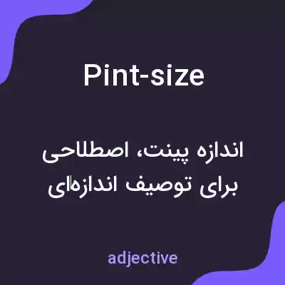 معنی pint-size به فارسی