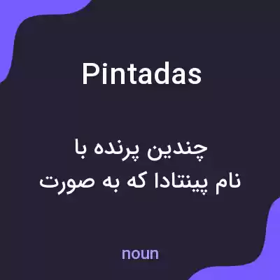 معنی pintadas به فارسی معنی pintadas به فارسی