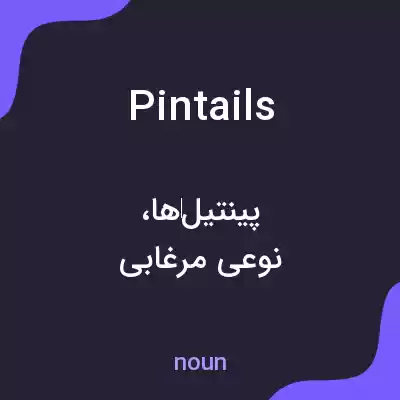 معنی pintails به فارسی معنی pintails به فارسی