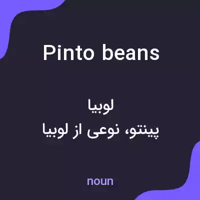 معنی pinto beans به فارسی معنی pinto beans به فارسی