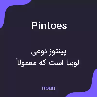 معنی pintoes به فارسی معنی pintoes به فارسی
