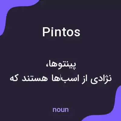 معنی pintos به فارسی معنی pintos به فارسی