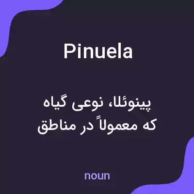 معنی pinuela به فارسی معنی pinuela به فارسی