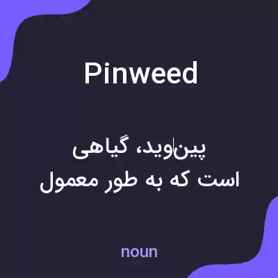 معنی pinweed به فارسی معنی pinweed به فارسی
