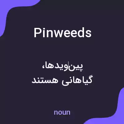 معنی pinweeds به فارسی معنی pinweeds به فارسی