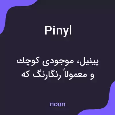 معنی pinyl به فارسی معنی pinyl به فارسی