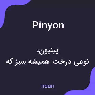 معنی pinyon به فارسی