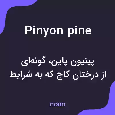 معنی pinyon pine به فارسی معنی pinyon pine به فارسی