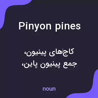 معنی pinyon pines به فارسی معنی pinyon pines به فارسی