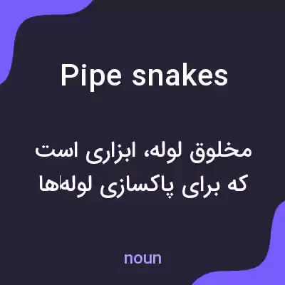 معنی pipe snakes به فارسی معنی pipe snakes به فارسی