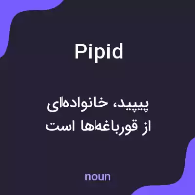 معنی pipid به فارسی معنی pipid به فارسی