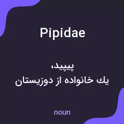 معنی pipidae به فارسی معنی pipidae به فارسی
