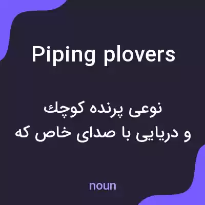معنی piping plovers به فارسی معنی piping plovers به فارسی
