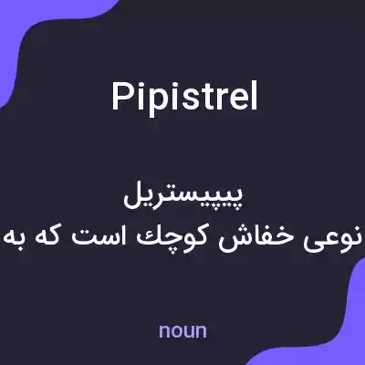 معنی pipistrel به فارسی معنی pipistrel به فارسی